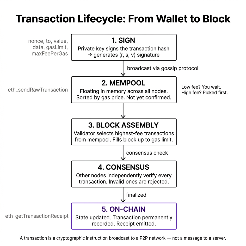 Transaction lifecycle — from wallet signing to block settlement